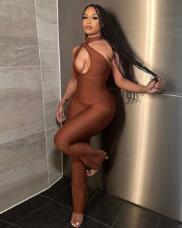 Brown Cut Out Halter Sleeveless One Shoulder Skinny Jumpsuit
