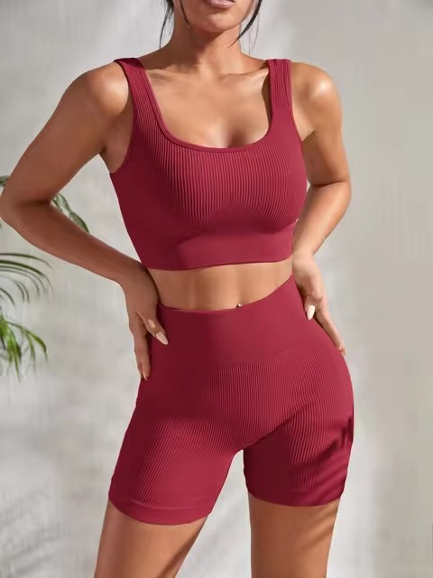 Casual Ribbed Crop High Waist Shorts Seamless Ribbed Yoga Sets