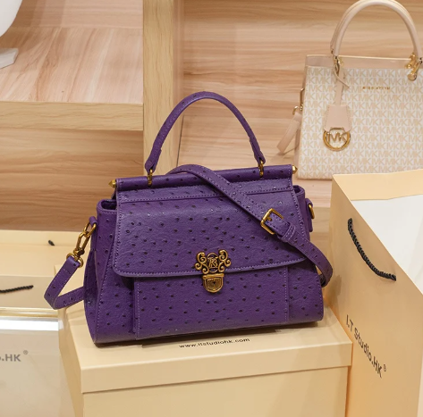 Luxury Large Capacity High-End Feeling Light Designer Shoulder Crossbody Handbag